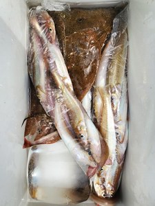 20200711_121806.jpg