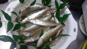 IMG_20200722_201039.jpg