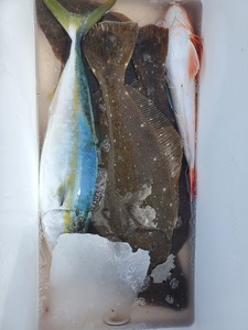 20200930_124225.jpg
