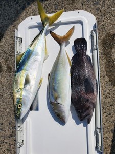 20201003_124610.jpg