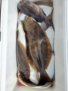 20201004_123919.jpg