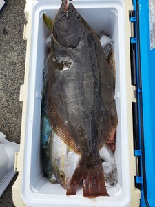 20201004_125115.jpg
