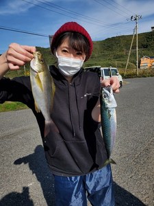 20201101_130112.jpg