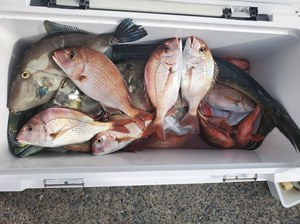 20201102_124234.jpg