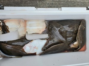 20201107_115917.jpg