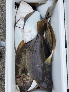20201108_120344.jpg