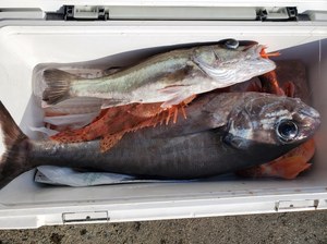 20201204_132114.jpg