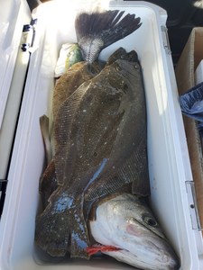20201215_123433.jpg