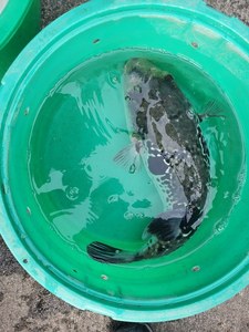 20201219_121250.jpg