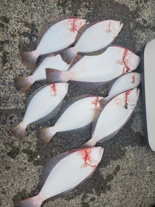 20201224_122532.jpg