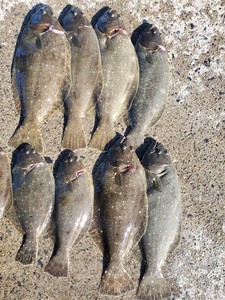 20201225_122217.jpg