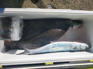20201231_123045.jpg