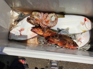 20210716_111732.jpg