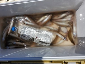 20210820_120930.jpg