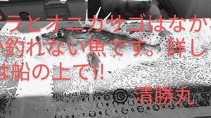 DSC_3751~3.JPG
