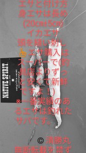 DSC_3746~2.JPG