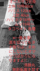 DSC_3749~2.JPG