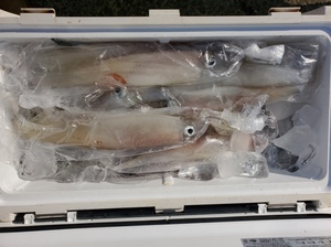 20220120_131523.jpg