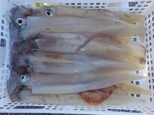 20220122_134119.jpg
