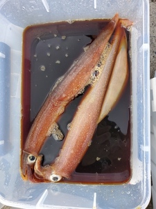 20220127_133644.jpg