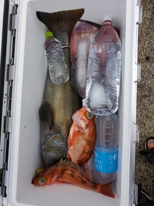 20220621_130943.jpg