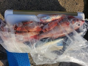 20230118_140819.jpg