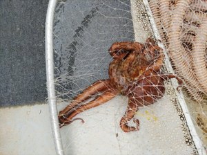 DSC_0299.JPG