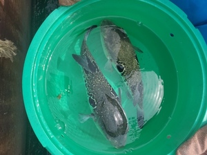 20230924_114248.jpg
