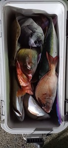 20240107_174626.jpg