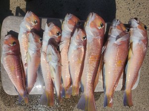 20240915_130040.jpg