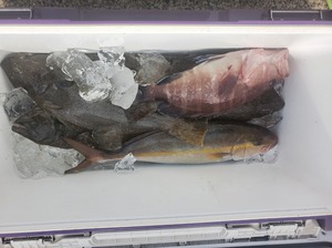 20241106_115920.jpg