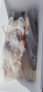 20250320_130803.jpg