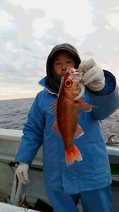 20190110_071227.jpg