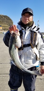 20190118_121952.jpg