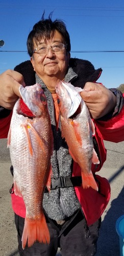 20190119_133237.jpg