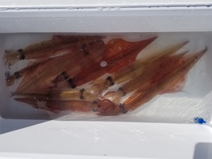 20180207_130449.jpg