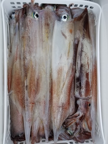 20180414_131042.jpg