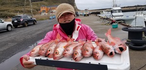 20190211_135159.jpg