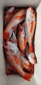 20190214_134440.jpg