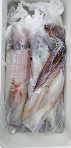 20190215_132407.jpg