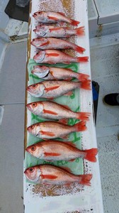 20190219_133436.jpg