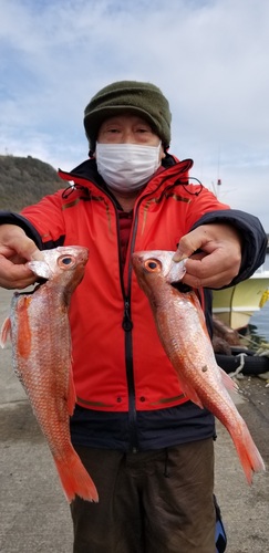 20190225_132956.jpg